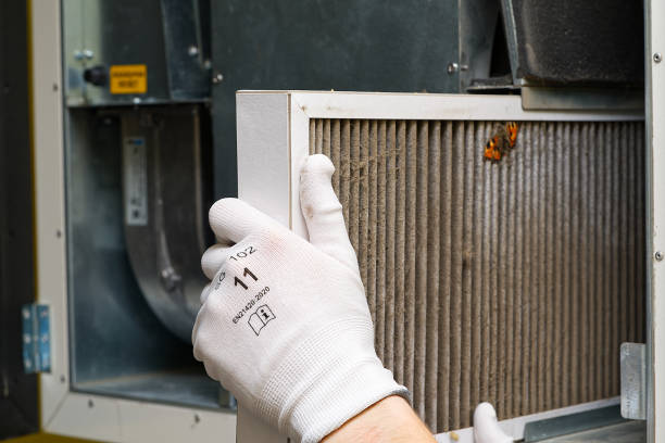 Best Affordable Air Duct Cleaning  in San Clemente, CA